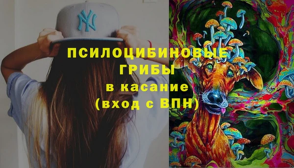 тгк Ладушкин