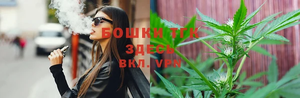 тгк Ладушкин