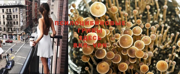 прущая мука Лагань
