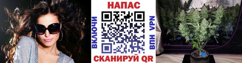Шишки марихуана конопля площадка какой сайт Южноуральск